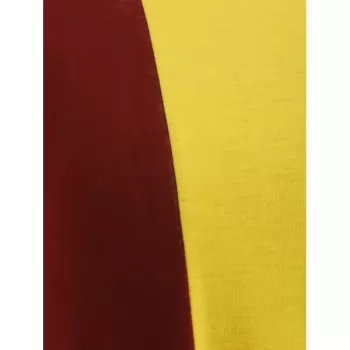 Color Block Maxi Swing Dress -