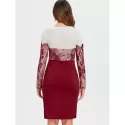 Lace Insert Long Sleeve Knee Length Dress - Red Wine