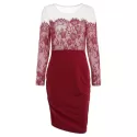 Lace Insert Long Sleeve Knee Length Dress - Red Wine
