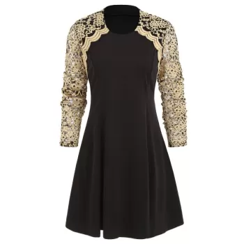 Lace Panel Round Collar A Line Dress - Black