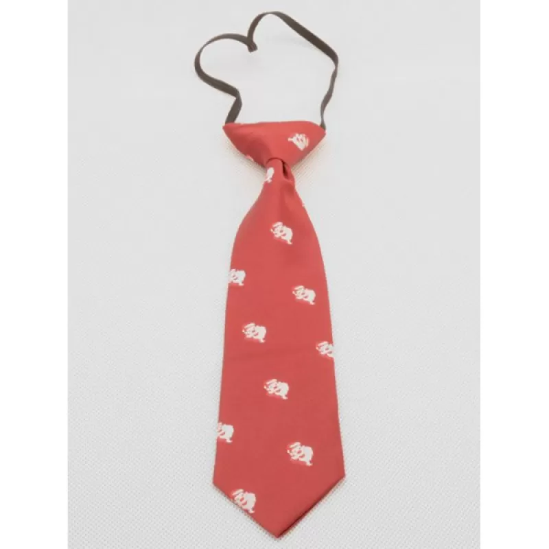 Novelty Santa Claus Christmas Kids Necktie - Red